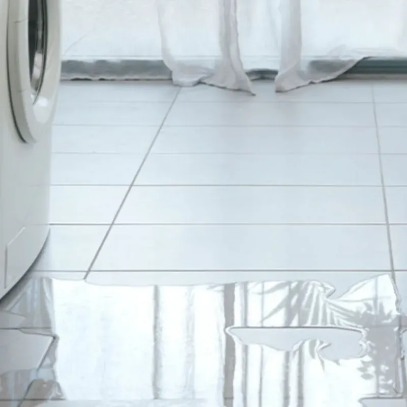 Appliance Leak Cleanup in McLean County, IL