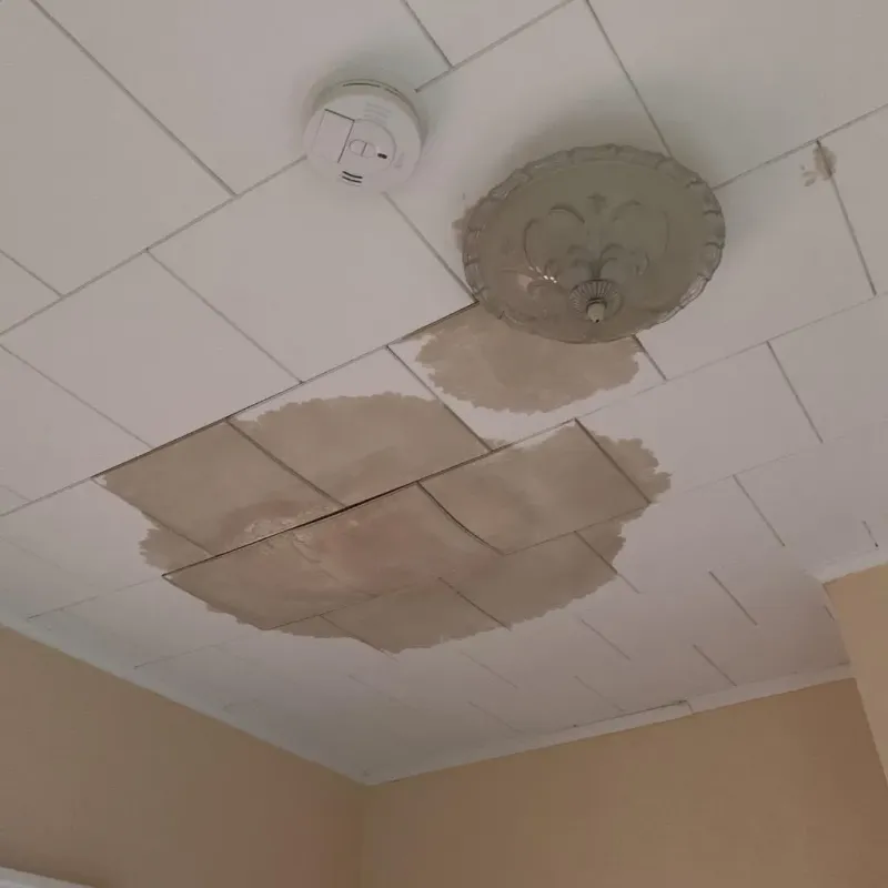 Ceiling Water Damage Repair in McLean County, IL