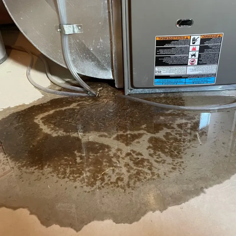 Pipe Burst and Leak Restoration in McLean County, IL